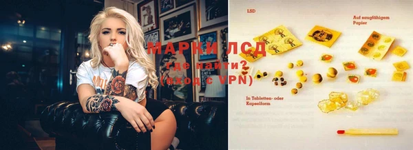 spice Абаза